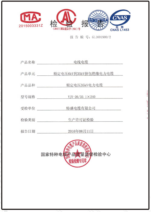 檢驗(yàn)報告